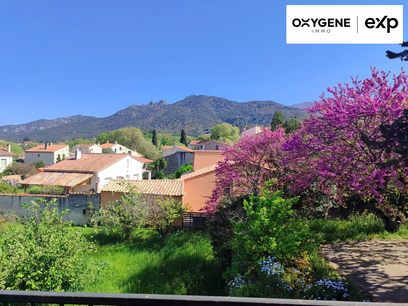 House in the heart of the village with large buildable land 4