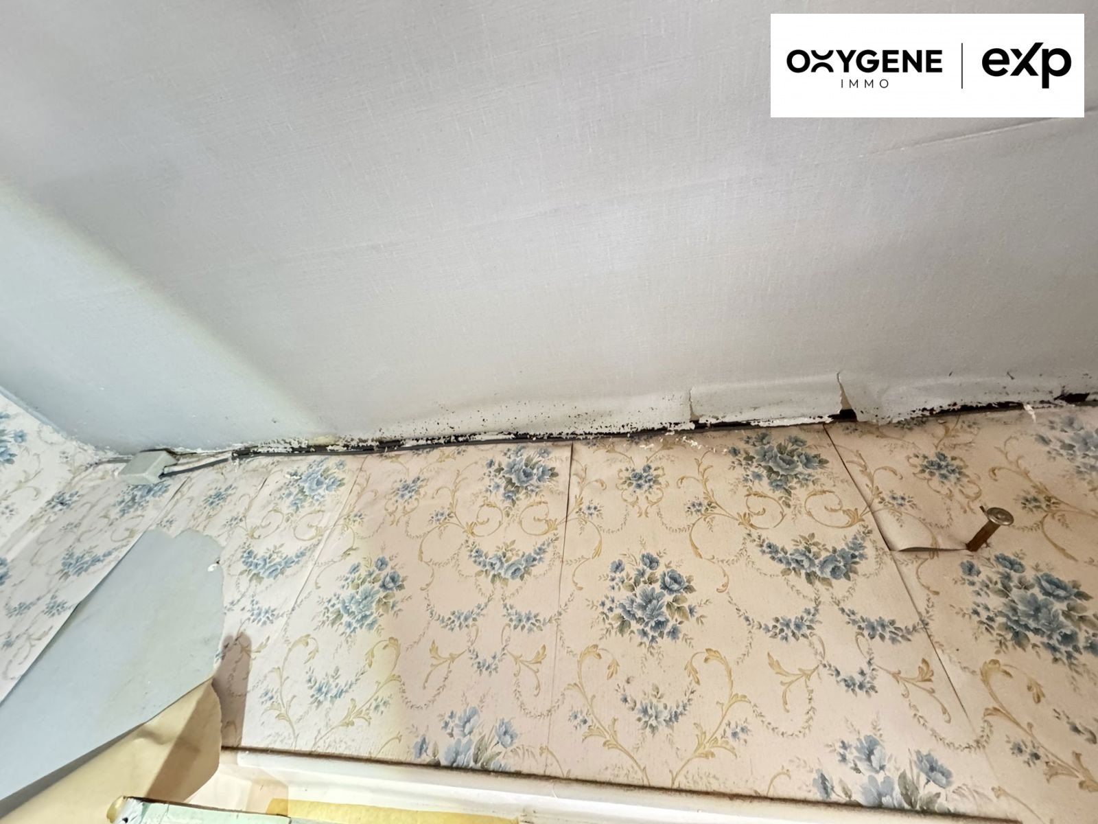 VENTE d'une maison T5 (120 m²) au BLEYMARD