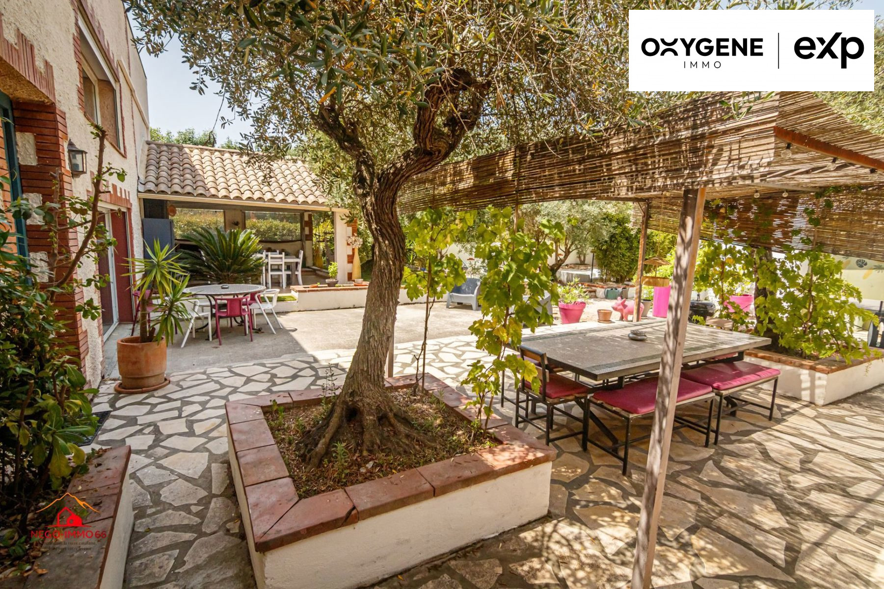 Exceptional Property: Mas + 5 Independent Gîtes 4