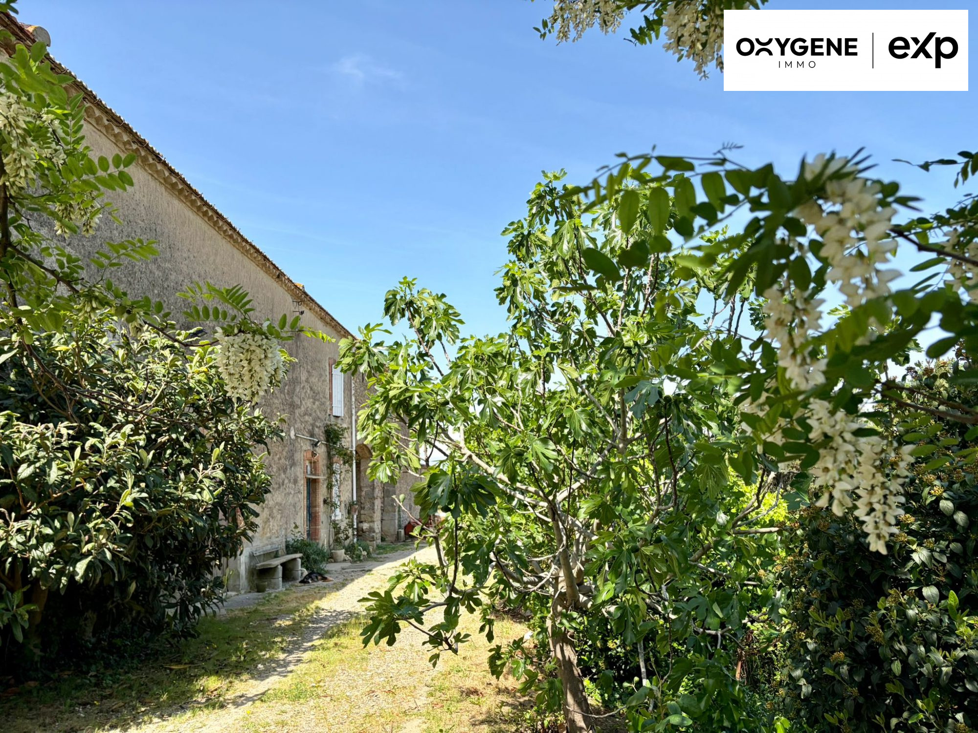 Maison 8 pièces 228 m² · à Villalier · 228 m² · 396 000 €