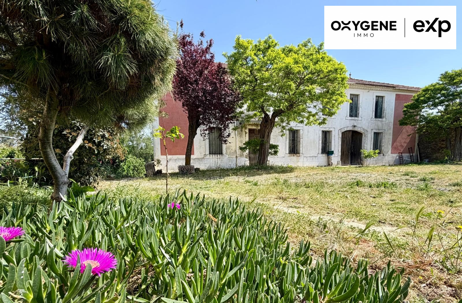 domaine proche Carcassonne