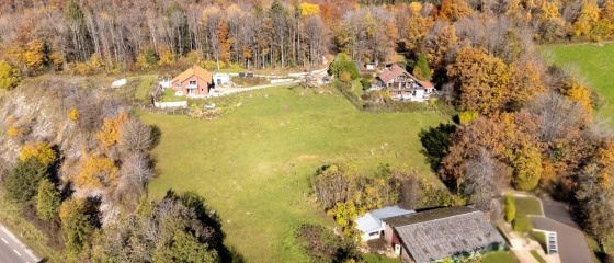 Heart's Delight Domaine de Tara for Sale 4