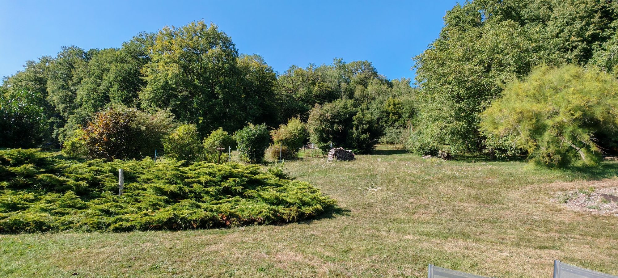 House in Saint-Martin-d'Ablois 3