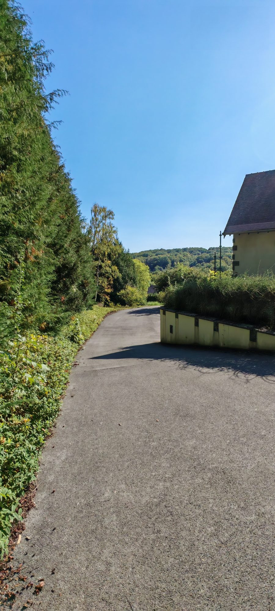 House in Saint-Martin-d'Ablois 4