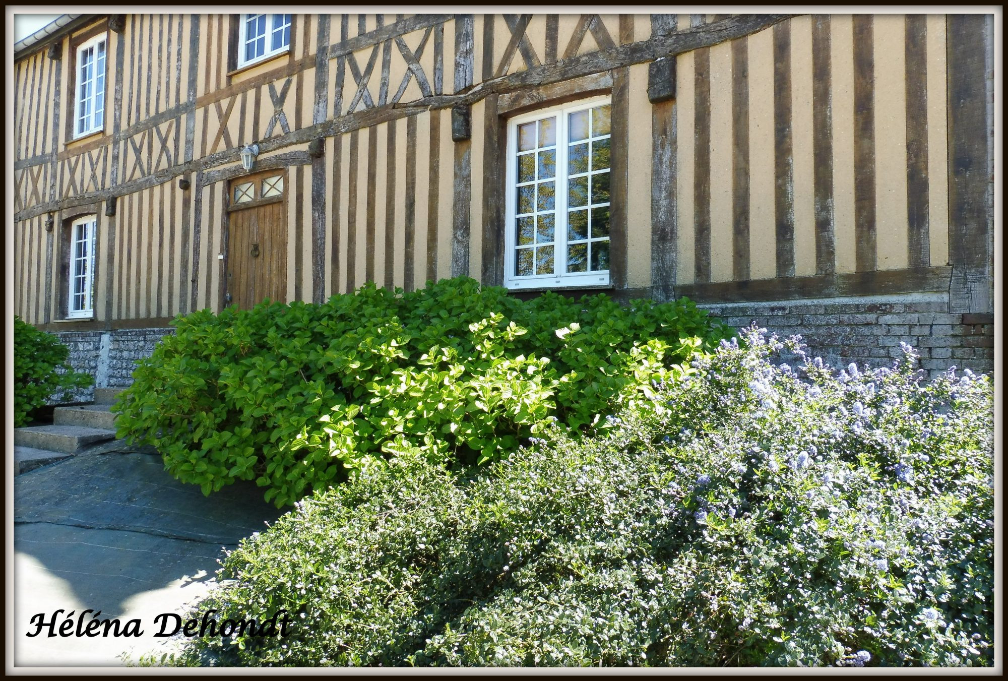 Maison 6 pièces 159 m² · à Les Hauts-de-Caux · 159 m² · 338 000 €