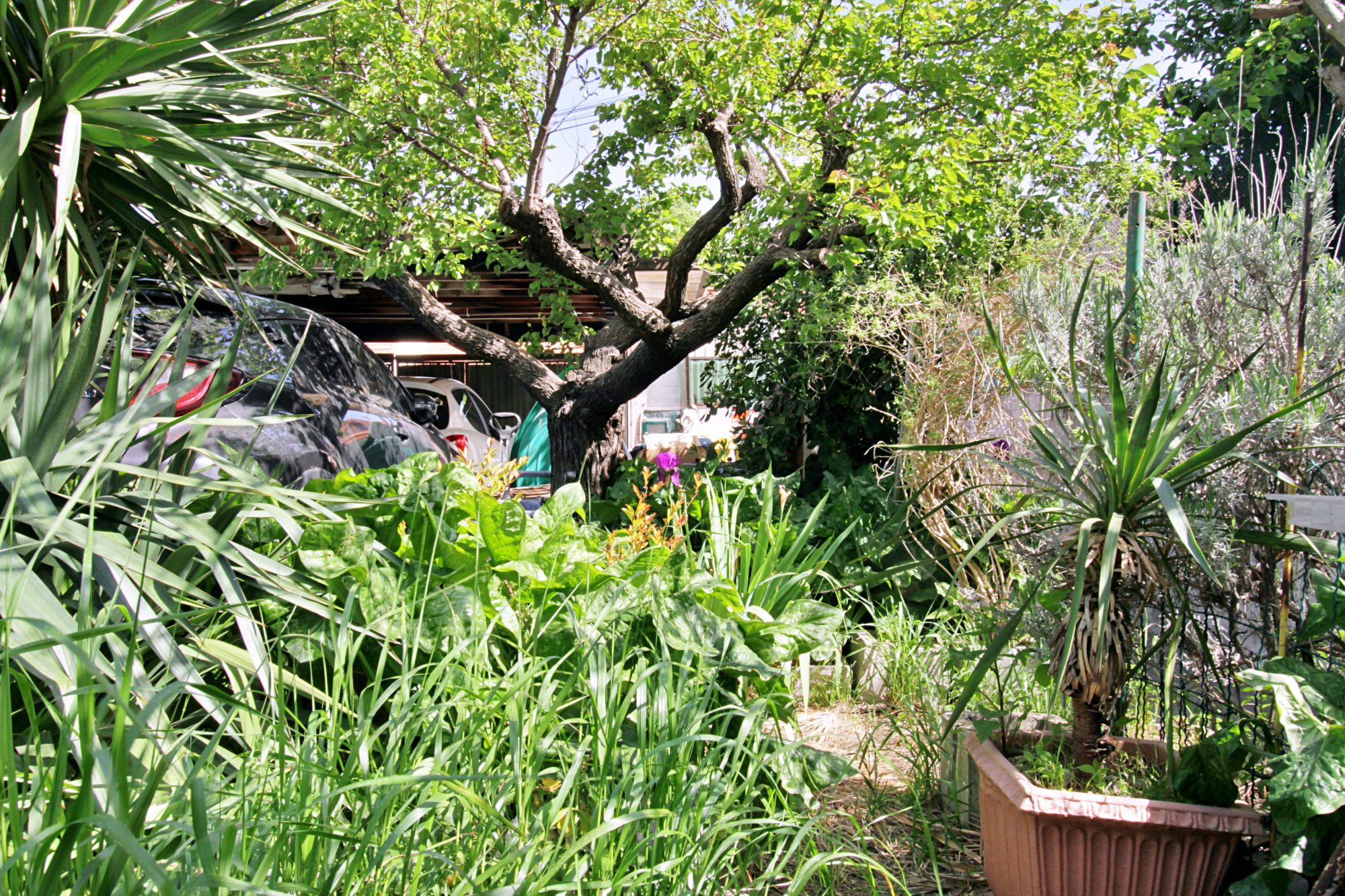 House with great potential – Marseille 12th arrondissement 4