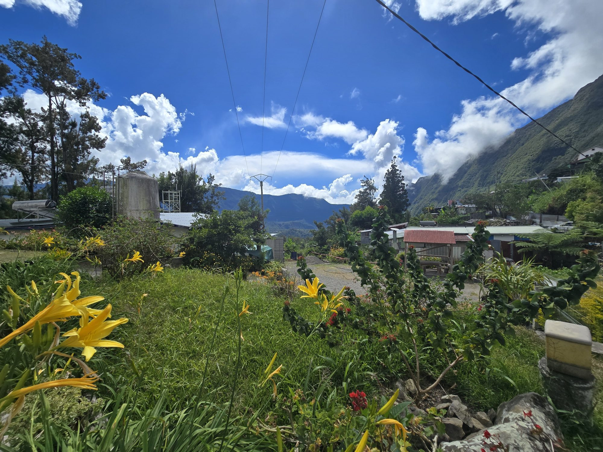 🏠 À VENDRE : GÎTE TOURISTIQUE STRATÉGIQUE – SALAZIE (97433)