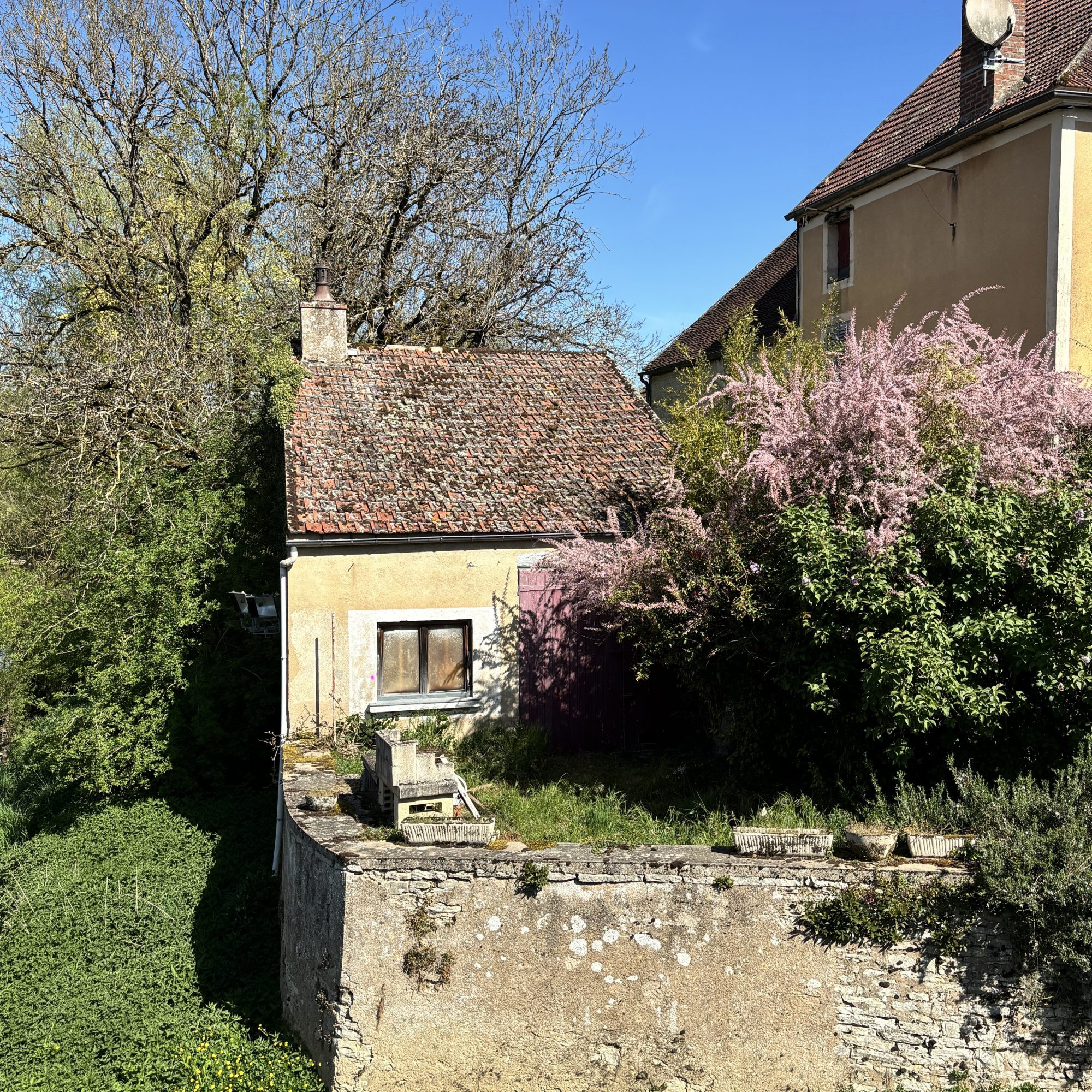 Atypical House 4