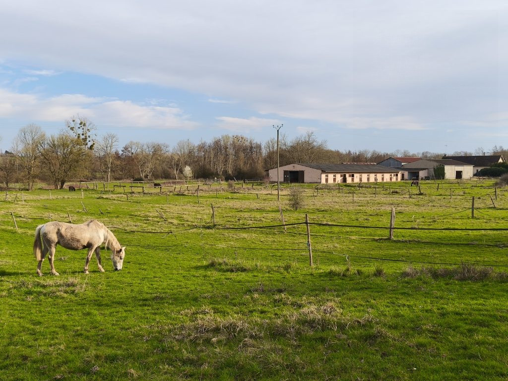 Maison à vendre à saint-martin-sur-ouanne, 173 m²