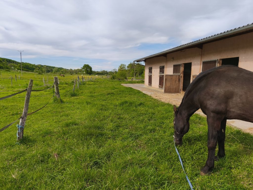 Maison à vendre à saint-martin-sur-ouanne, 173 m²