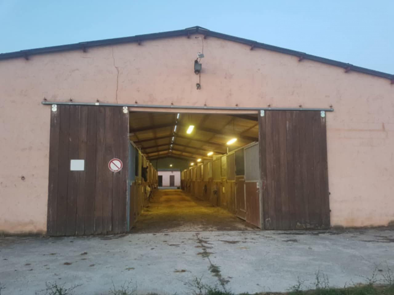 Individual house + 26-hectare stud farm for sale 3