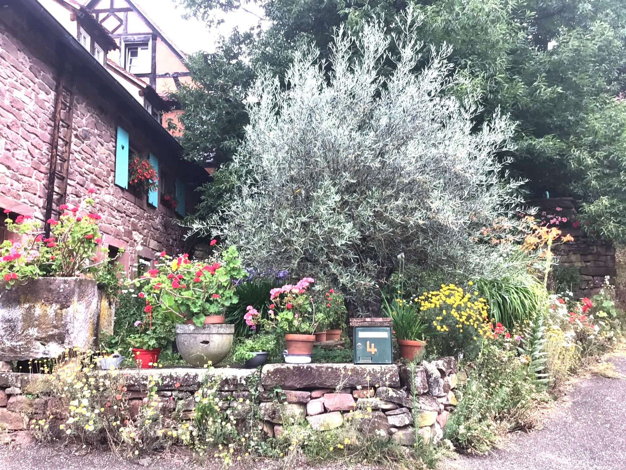 Maison dans Sommerau