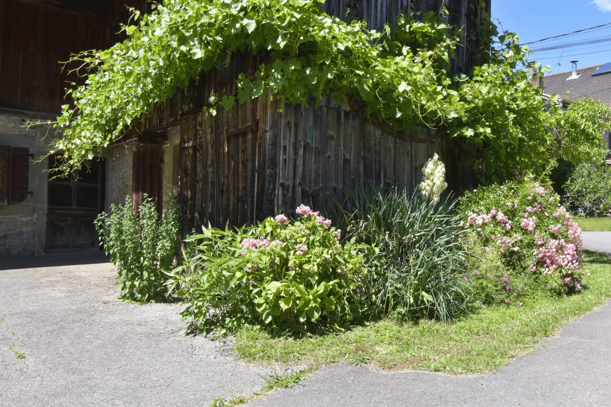 Maison à vendre à Arthaz-Pont-Notre-Dame, 184 m²