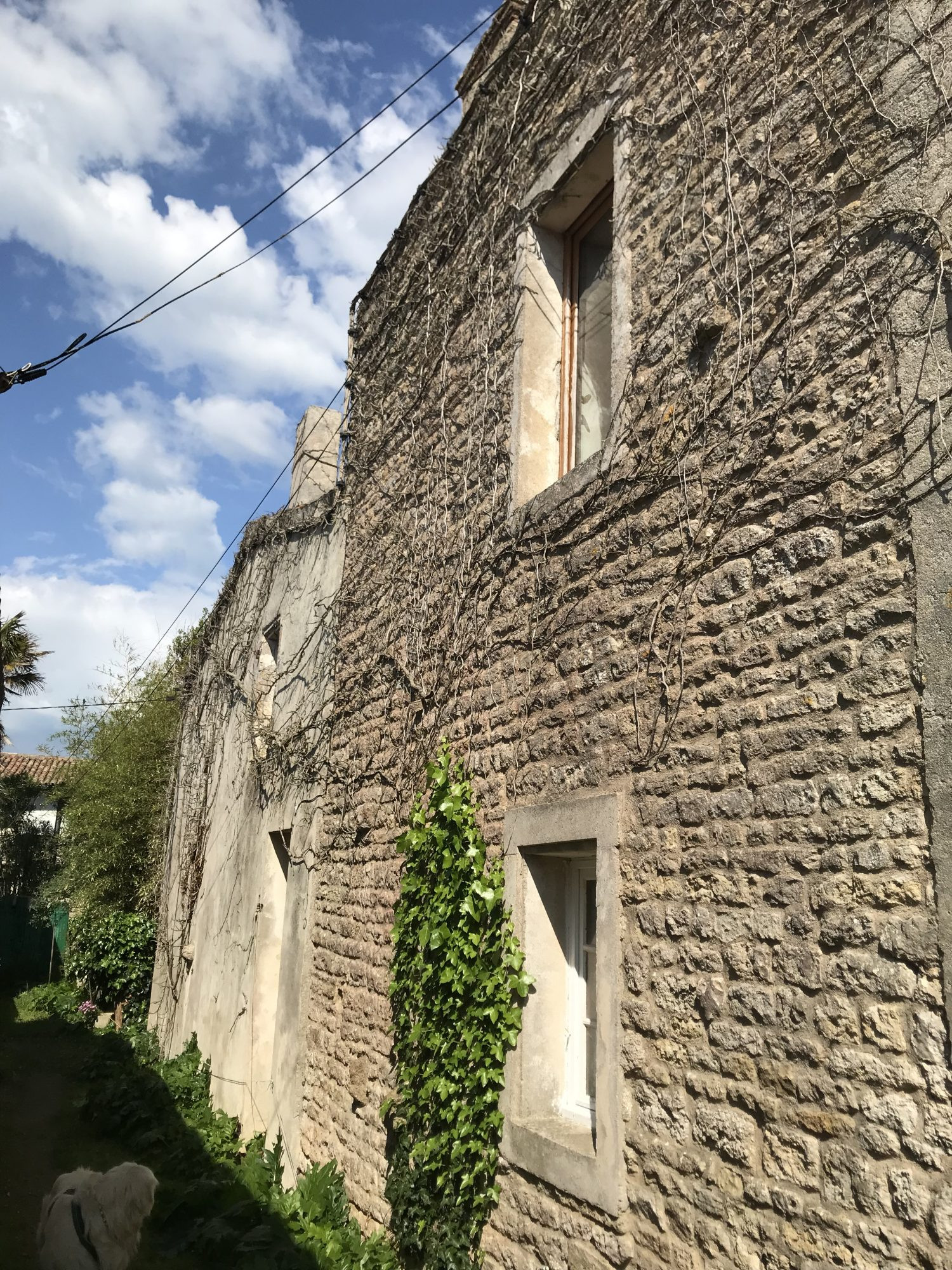 Maison de caractère à St Clément des Baleines