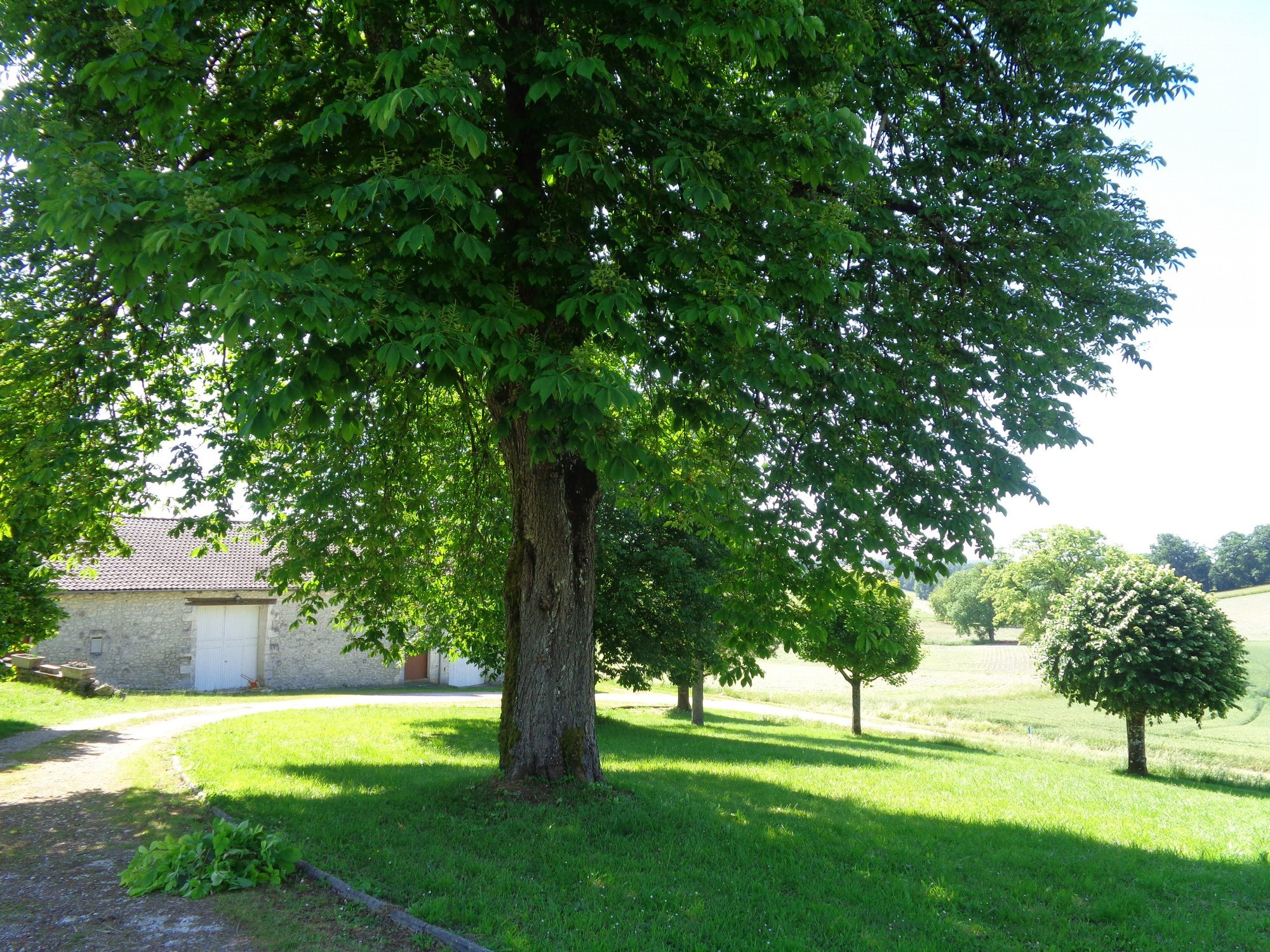 Maison à vendre à Grand-Brassac, 212 m²