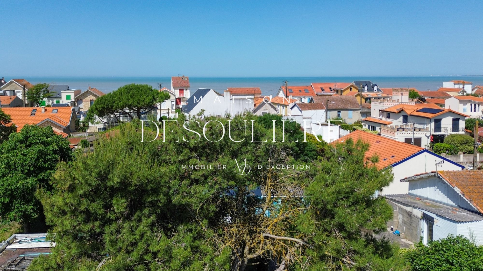 Incredible Beachfront Property 4