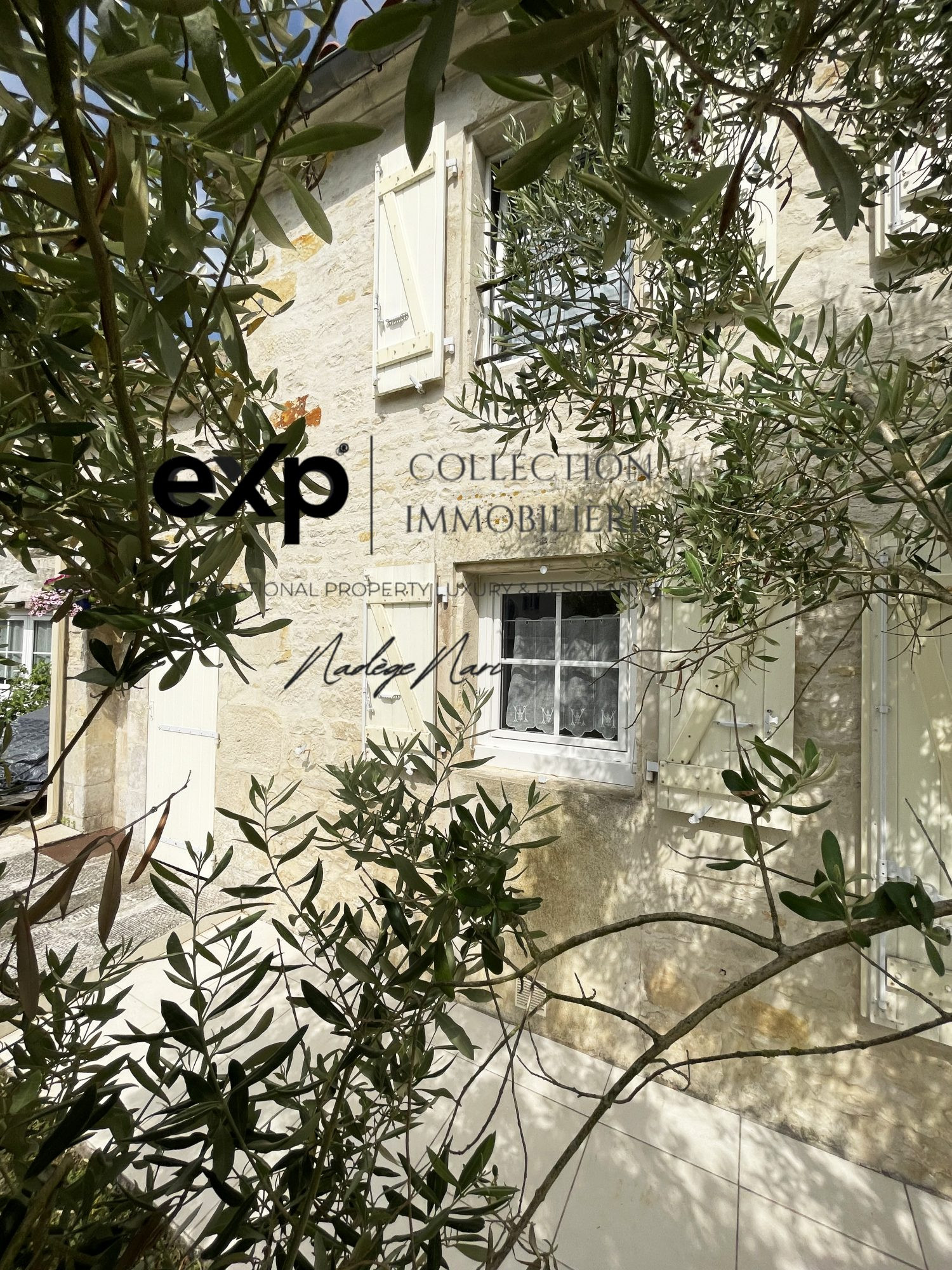 Maison à vendre à Sainte-Soulle, 265 m²