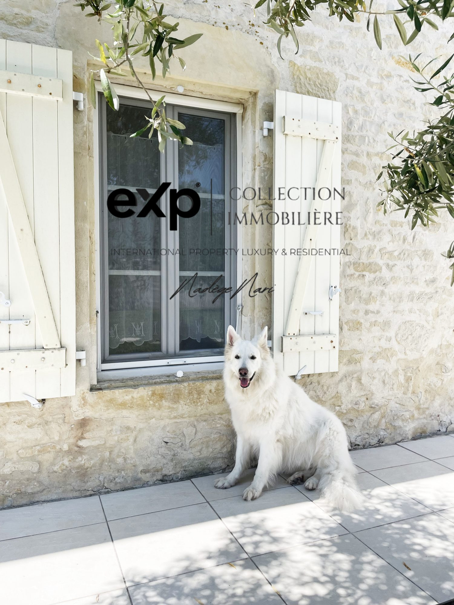 CHARACTERFUL PROPERTY 15 MINUTES FROM LA ROCHELLE 5