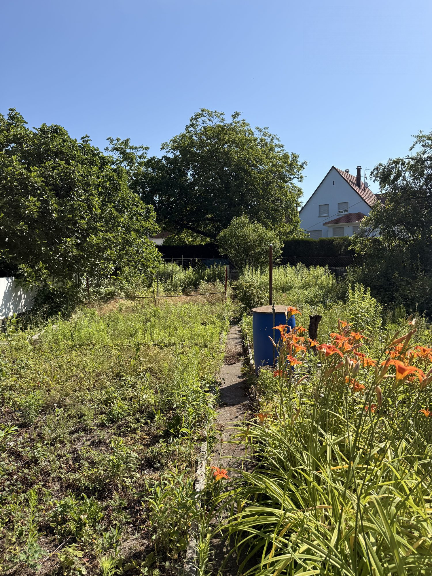 Maison à vendre à Lingolsheim, 105 m²