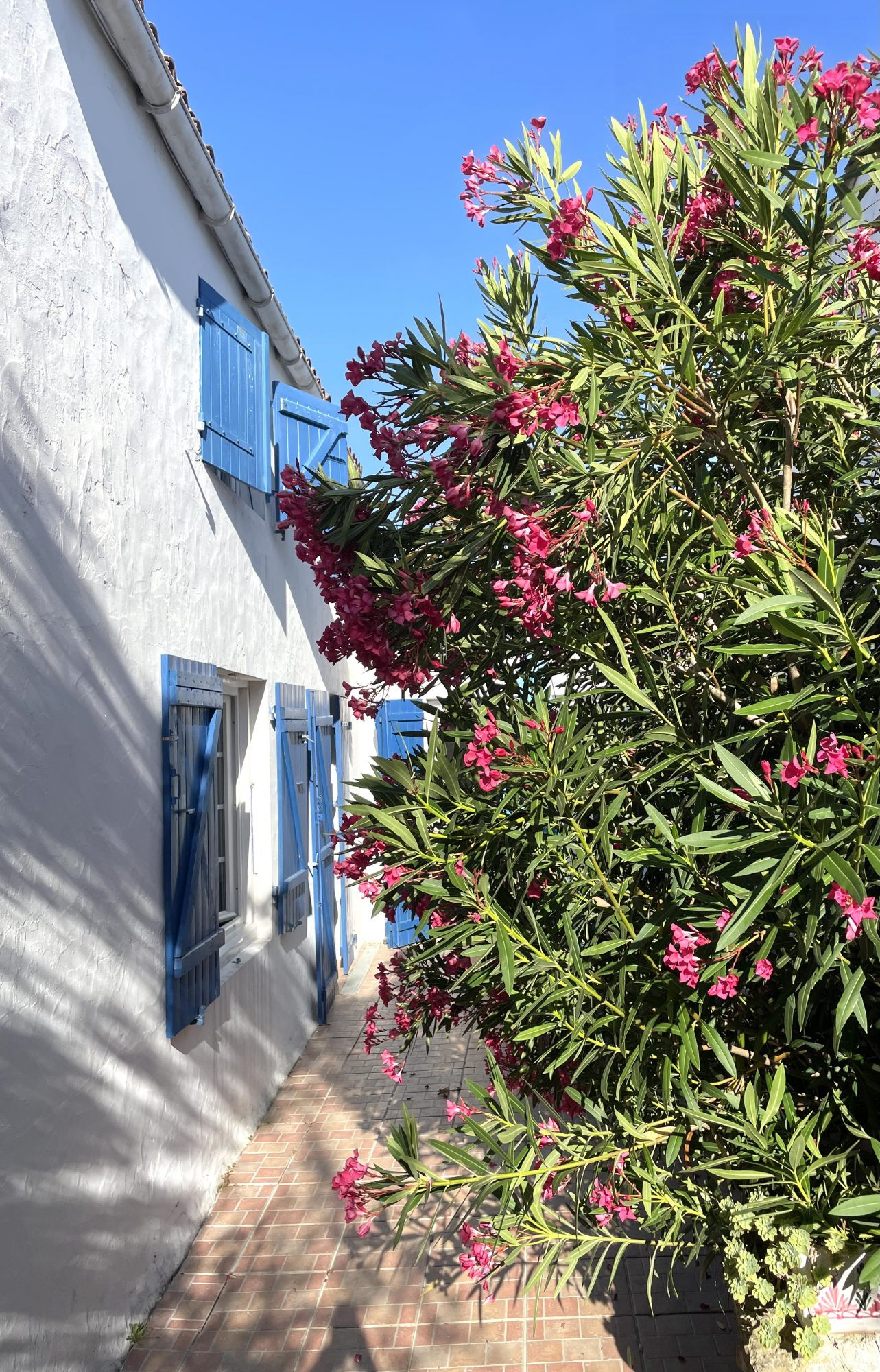 A family home in the heart of Loix, jewel of the Île de Ré. 2