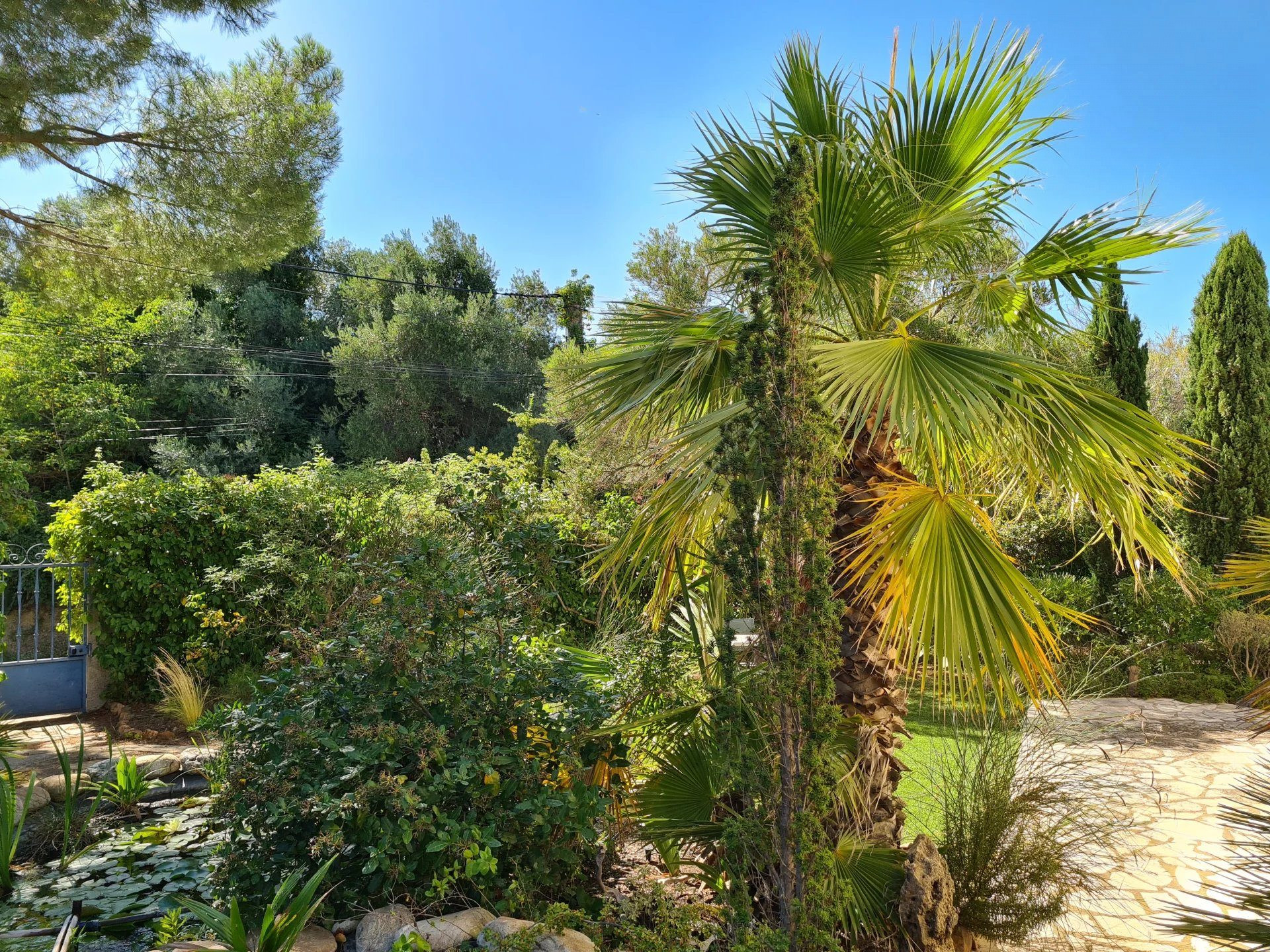 Views! Magnificent Pool. 4-Bedroom Villa. 3