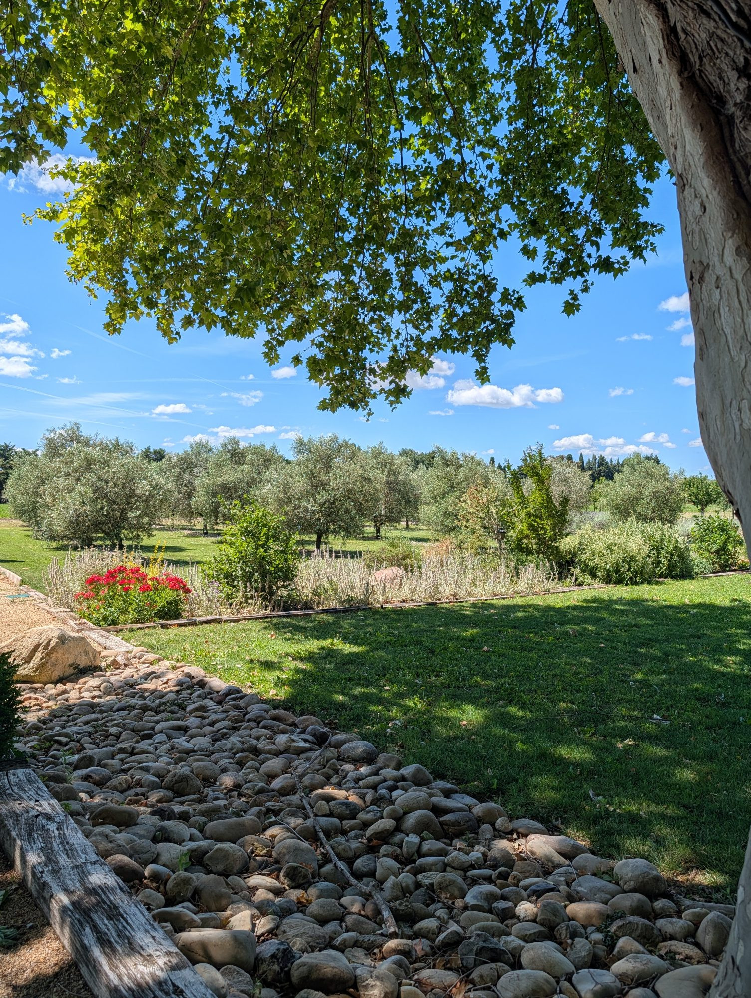 Maison à vendre à Saint-Andiol, 535 m²