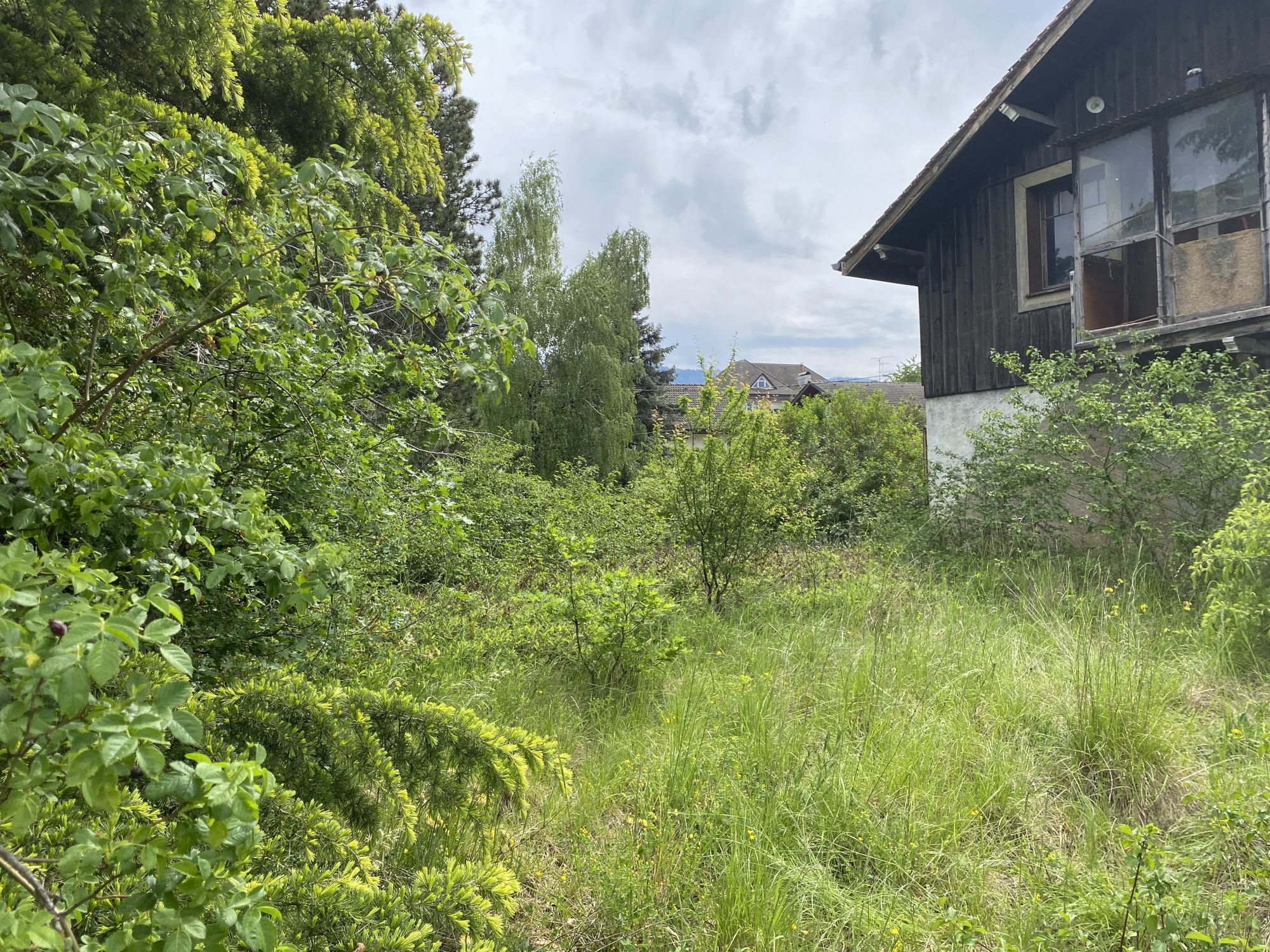 Renovation Opportunity 2