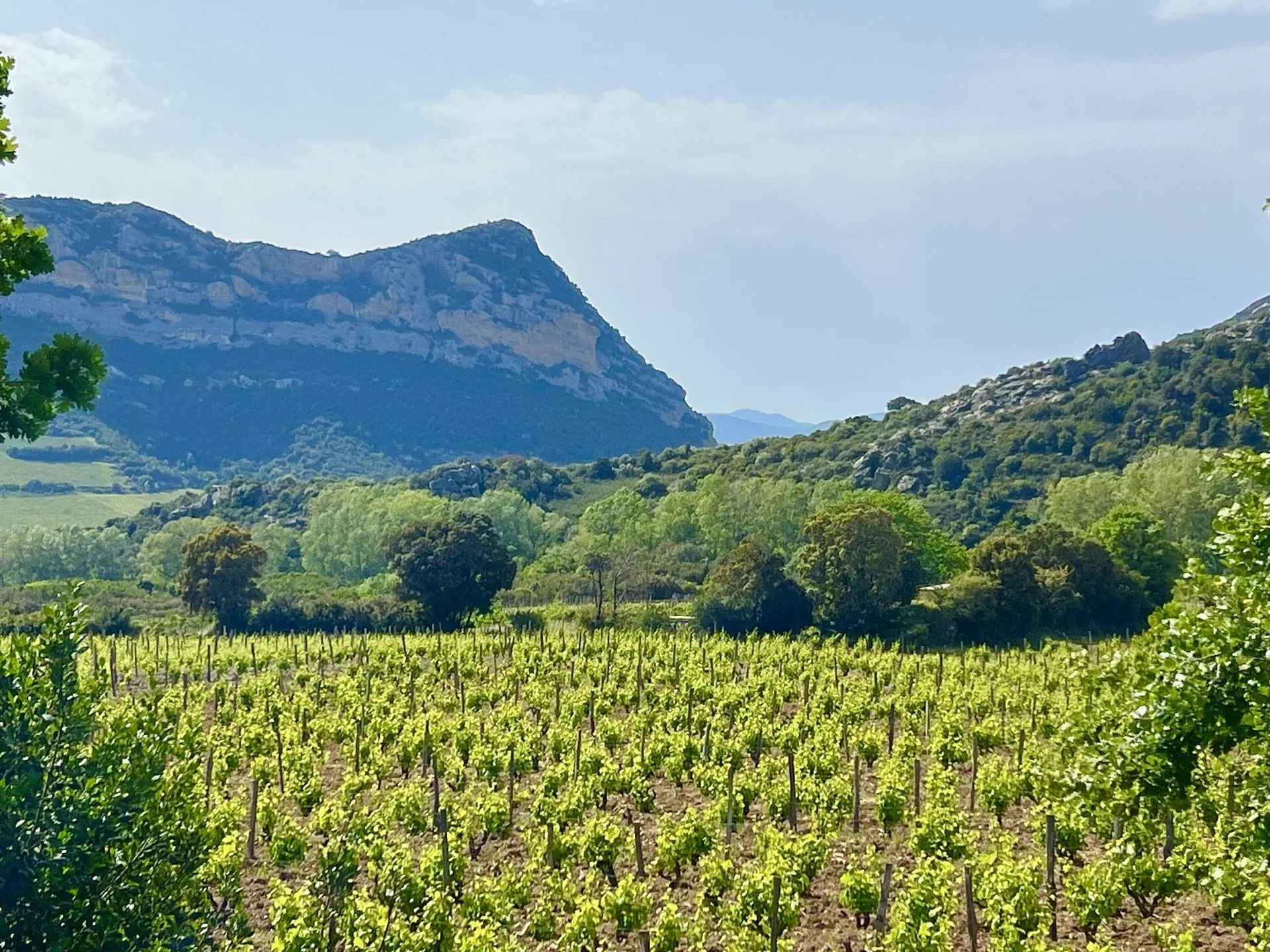 Propriété avec piscine – 220 m² – Terrain de 4 000 m² – Patrimonio