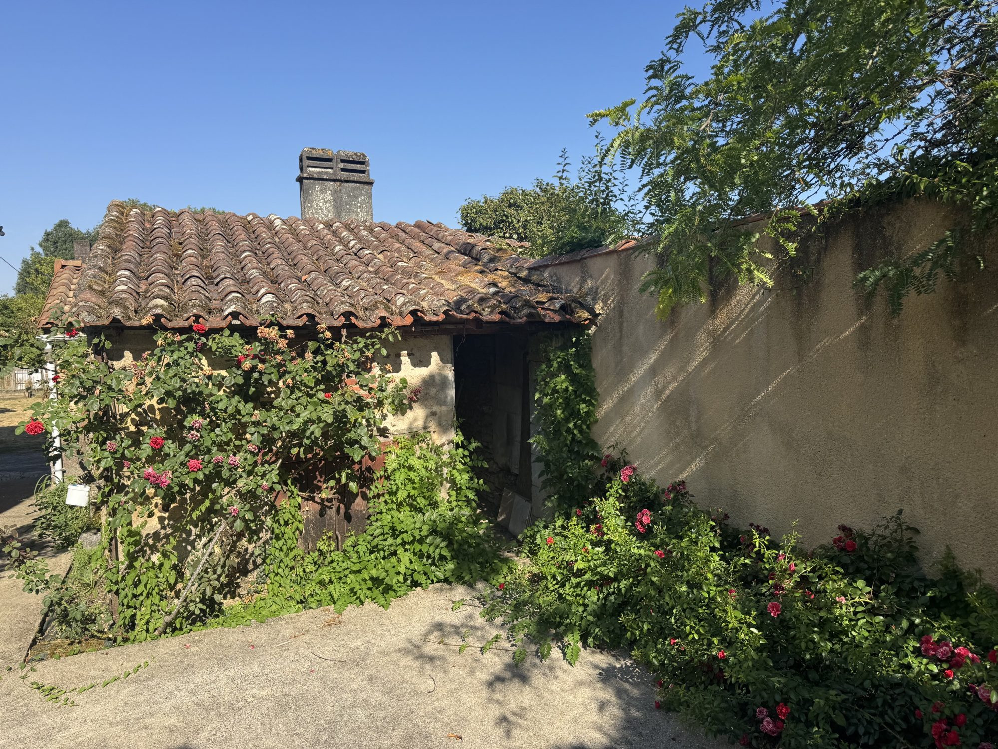 Maison à vendre à Breuil-Barret, 203 m²
