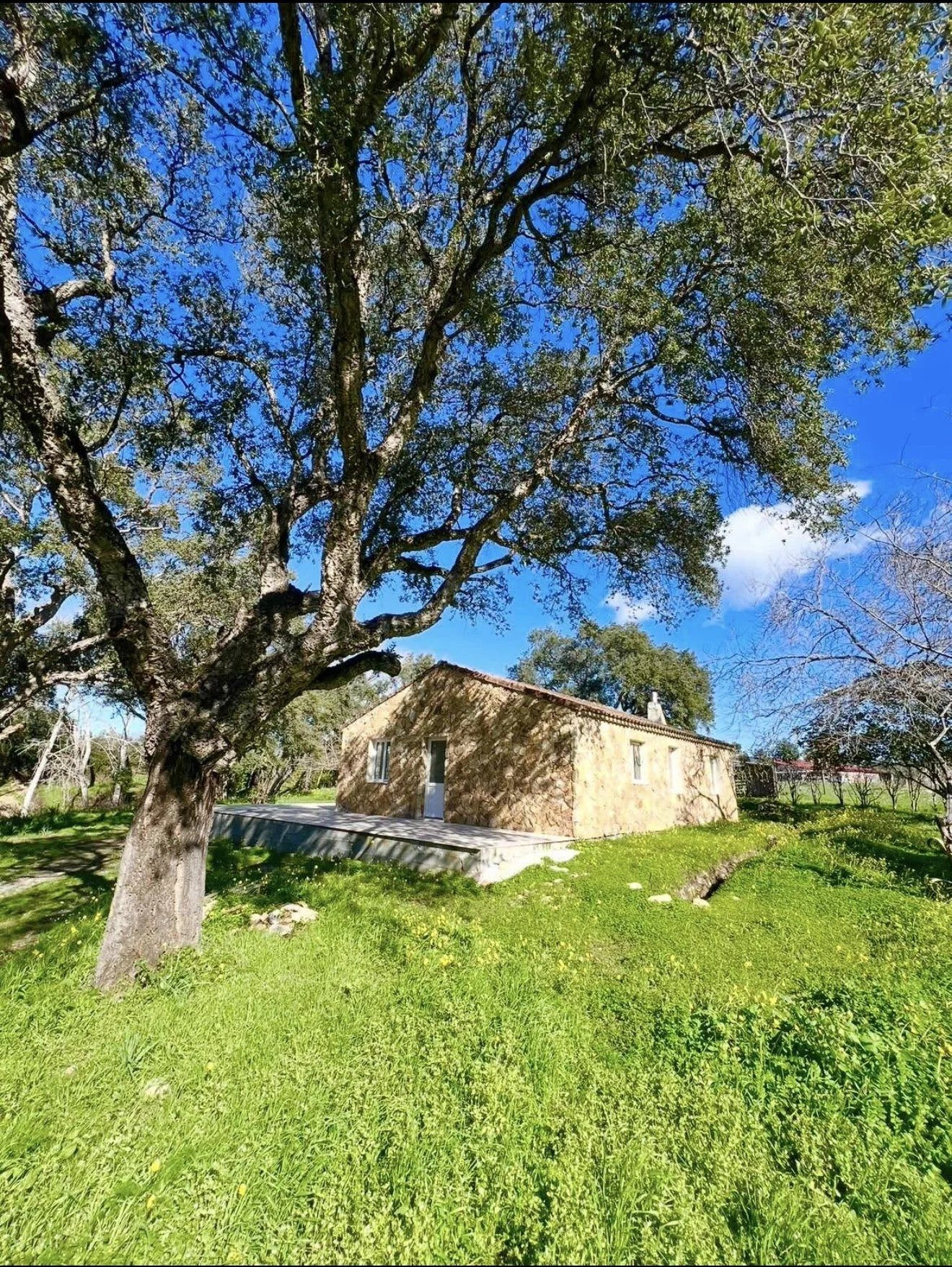 Charmante maison en pierre 84 M2 au cœur de la nature