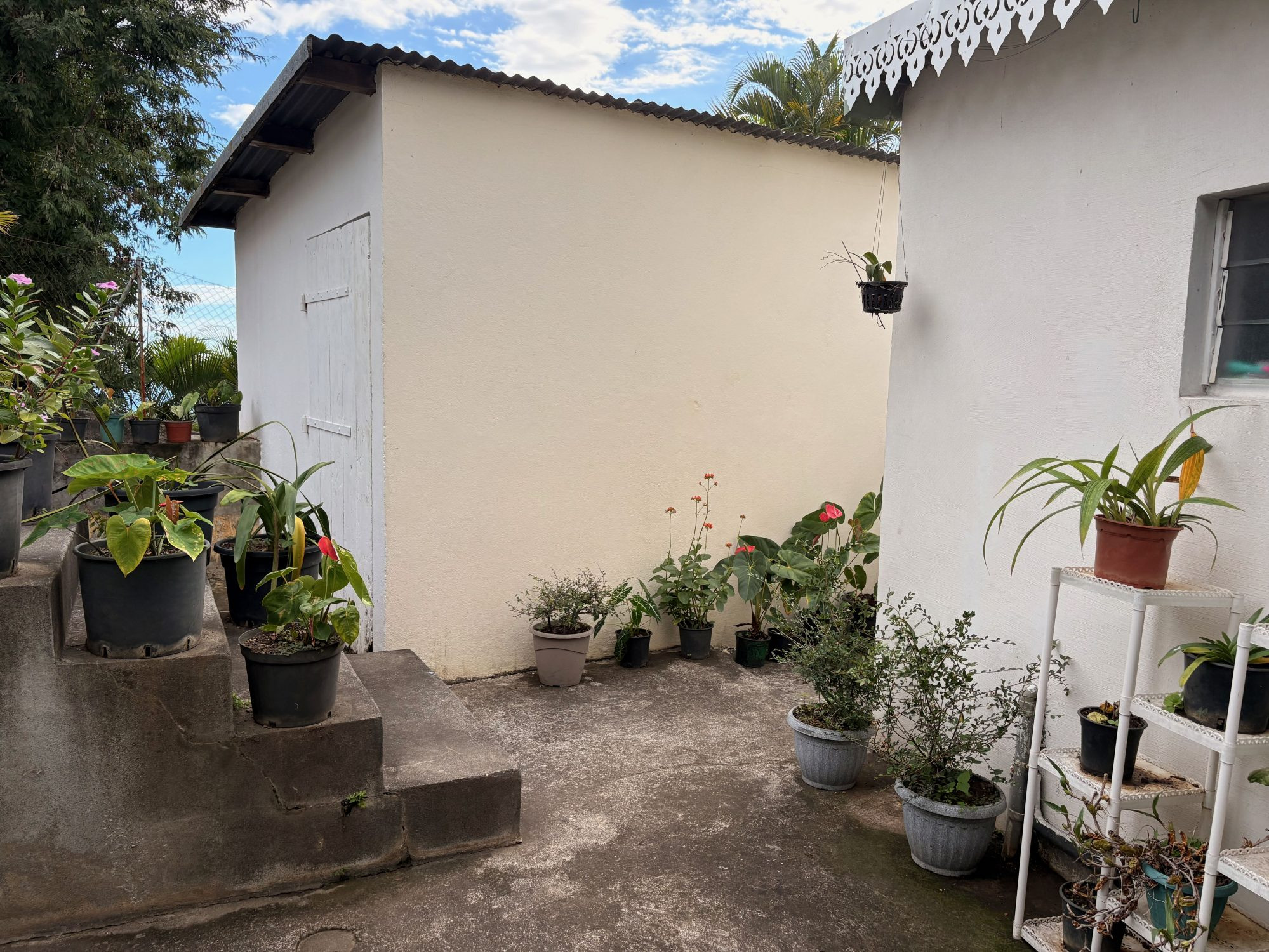 Opportunité investissement étang salé