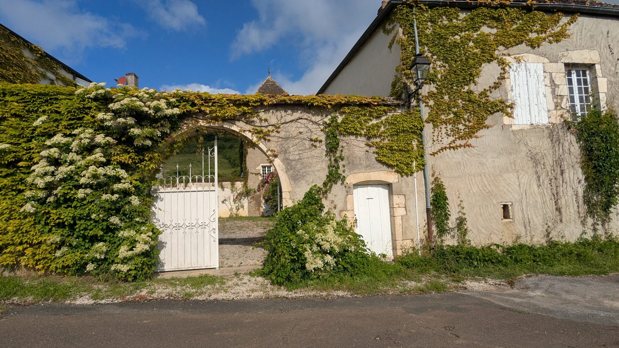 Domaine viticol