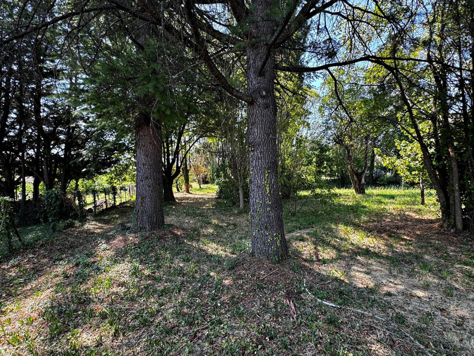Manosque – House 183 m² with 2,100 m² of buildable land 3