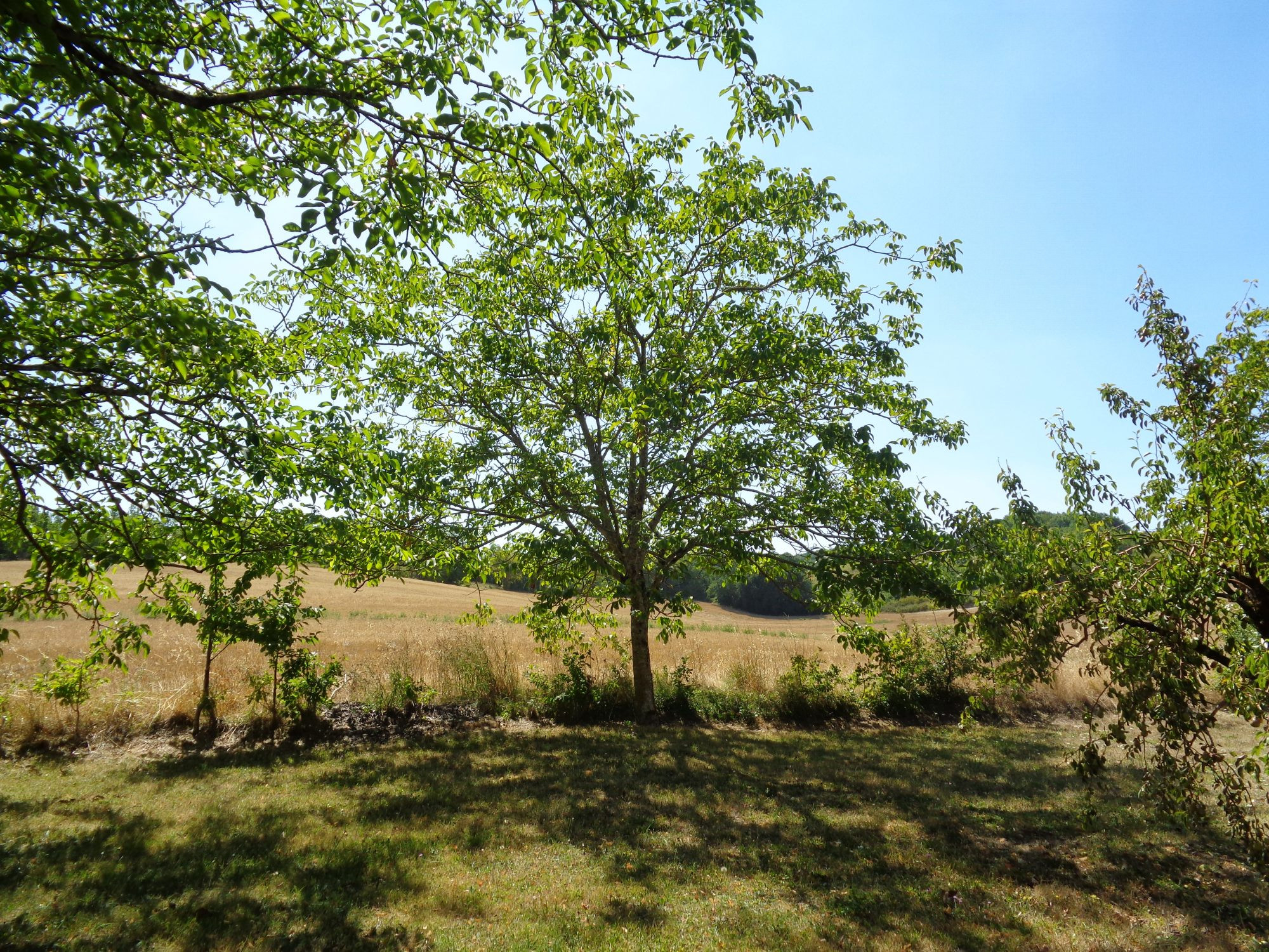 Maison à vendre à Palluaud, 70 m²