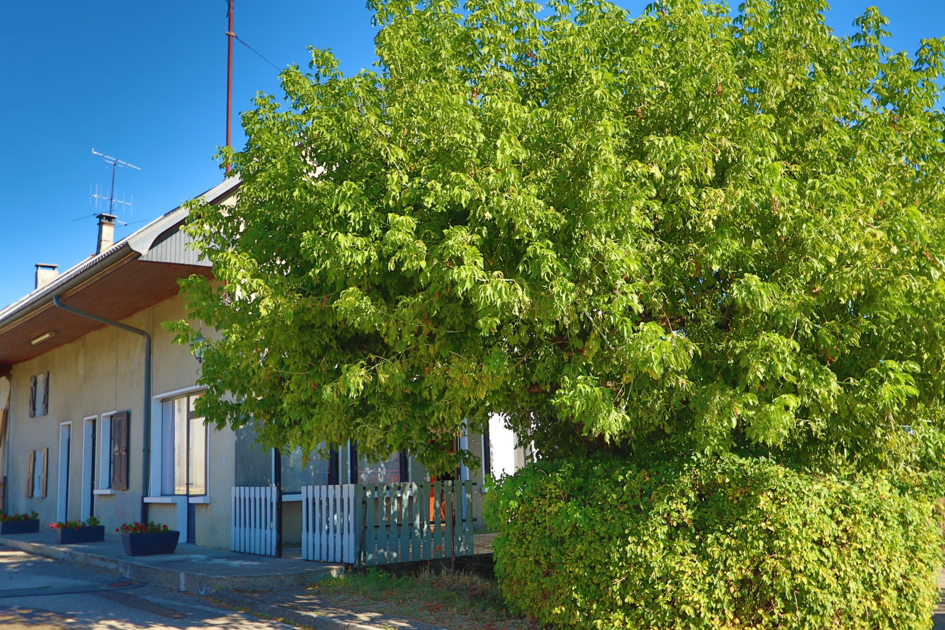 Maison à rénover à Mésigny : beaux volumes, et fort potentiel