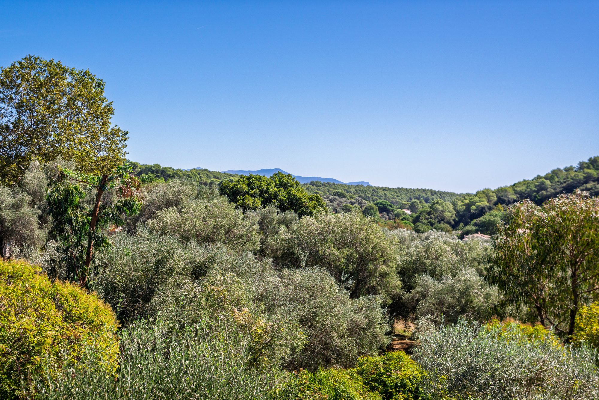 House for sale in Valbonne, 190 m²