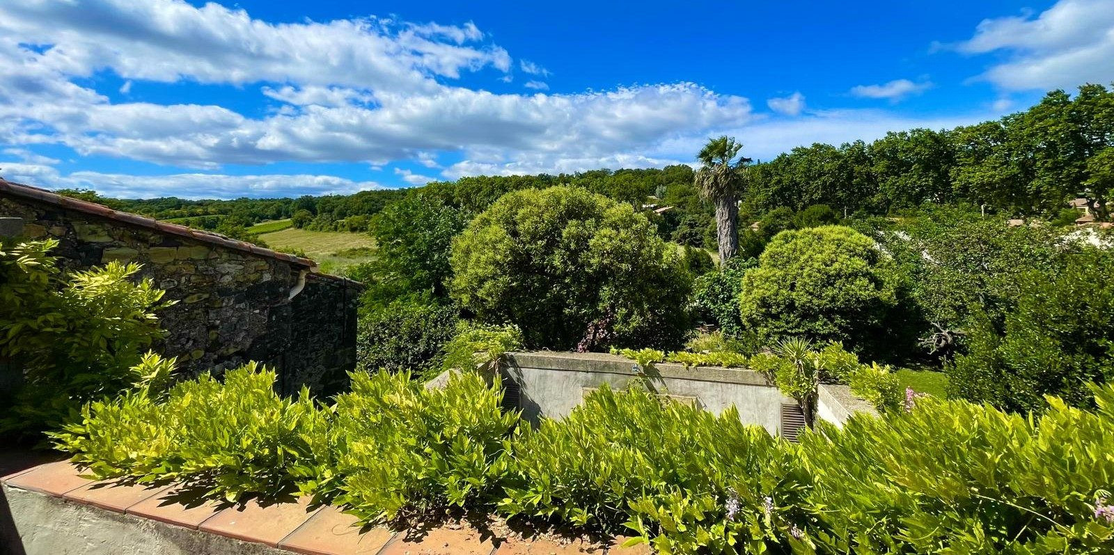 Maison à vendre à Nizas, 368 m²