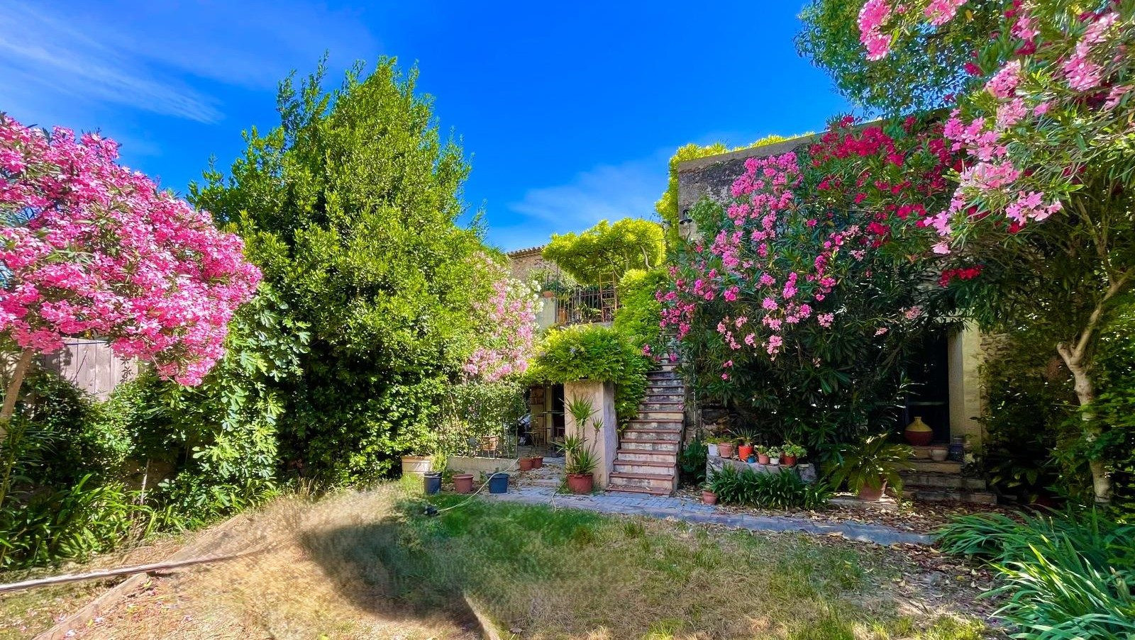Maison à vendre à Nizas, 368 m²