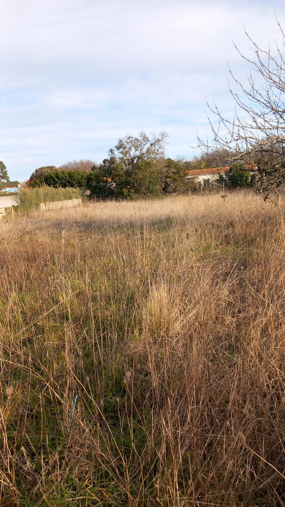 Maison à vendre à Dolus-d'Oléron, 97 m²