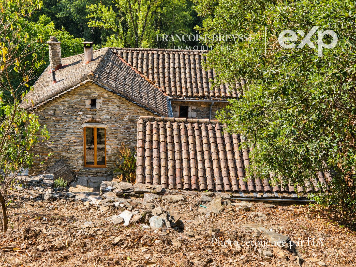 Maison à vendre à Le Collet-de-Dèze, 248 m²