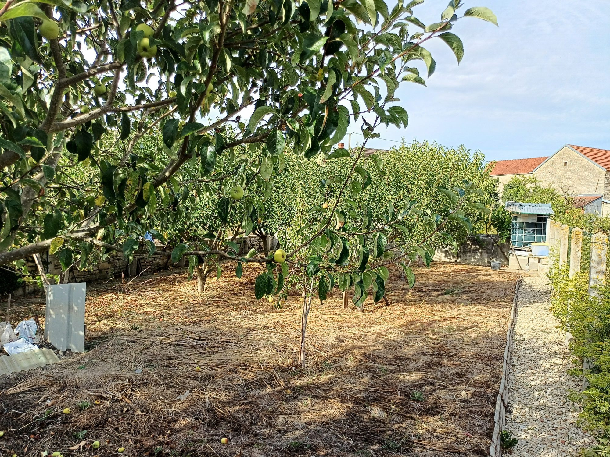 House for sale in Lézinnes, 49 m²