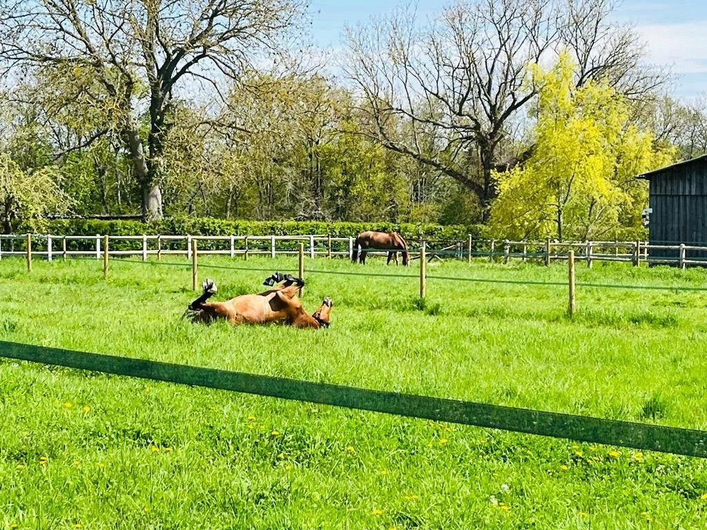 Maison à vendre à Pontoise, 395 m²