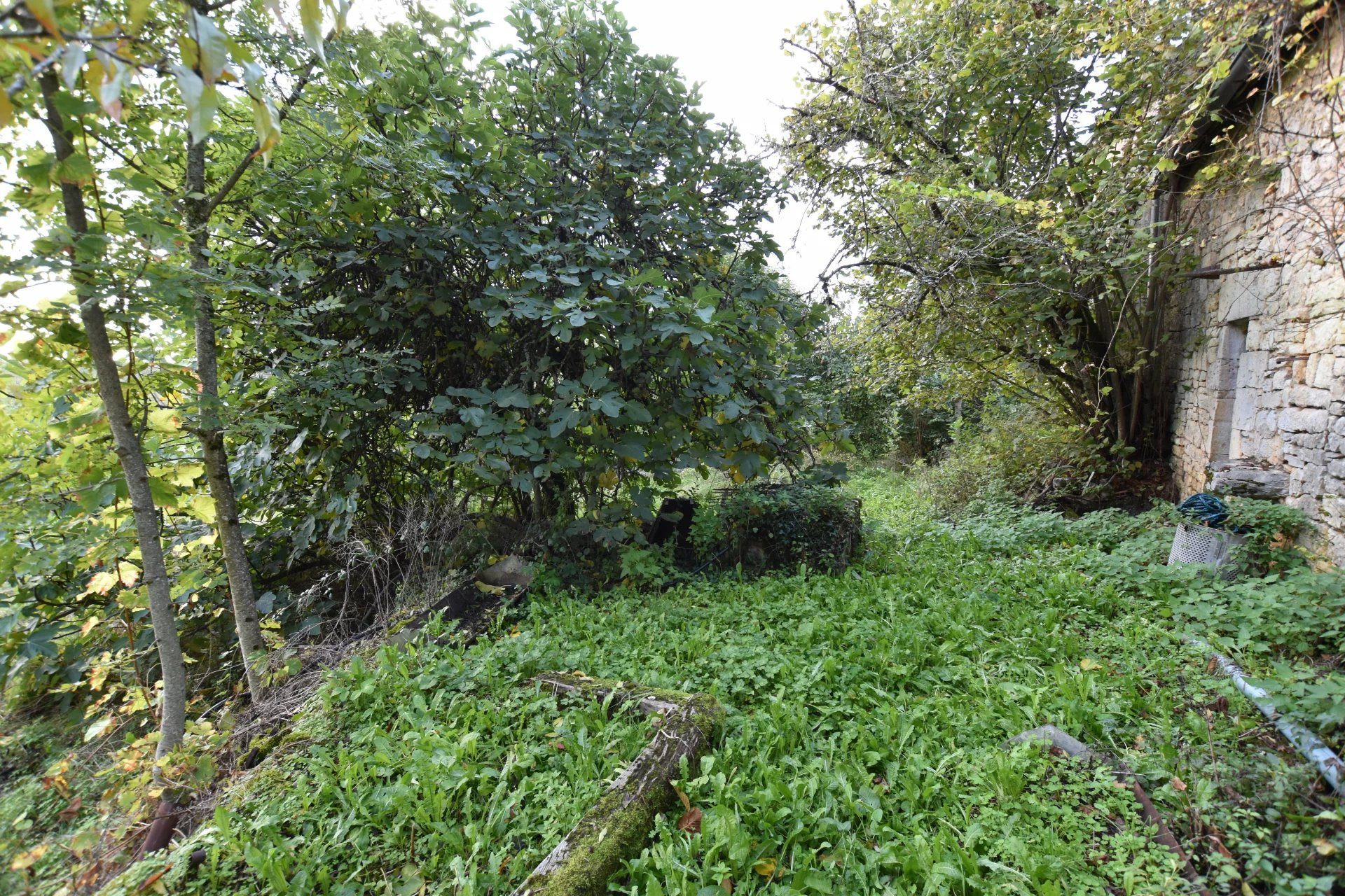 Barn to renovate in Saint Cernin (Lot) 4