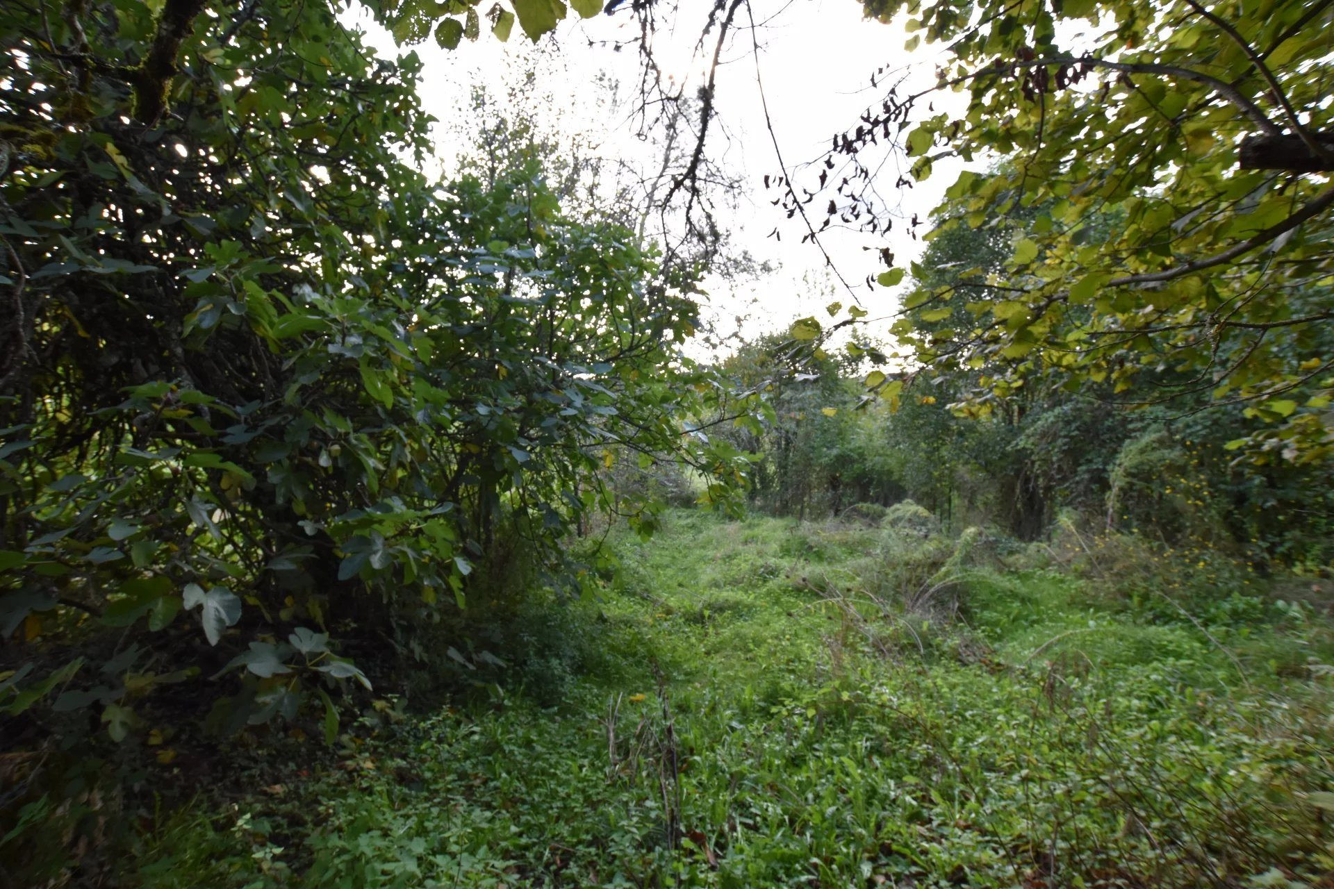 Barn to renovate in Saint Cernin (Lot) 5