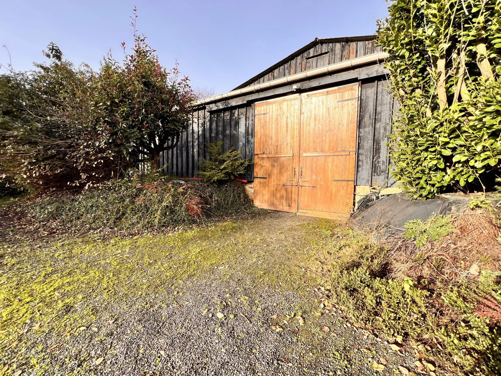 Ideal Equestrian Property for Private Owners 4