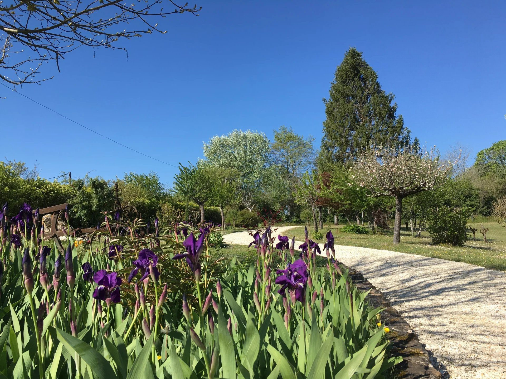 Maison à vendre à Saint-Séverin, 206 m²