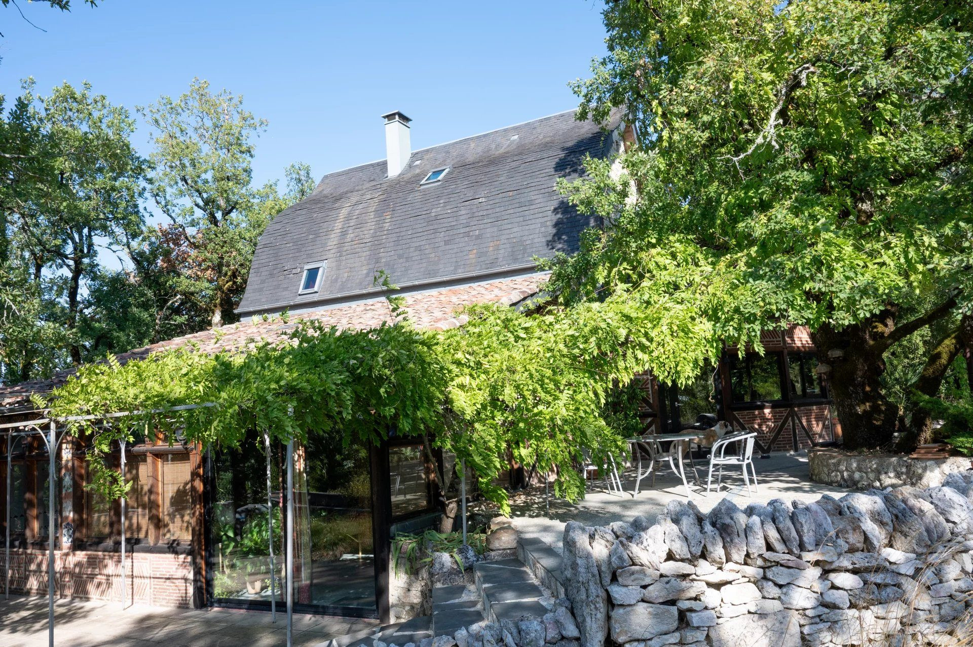 Atypical Property on 8.5 Hectares of Land 3