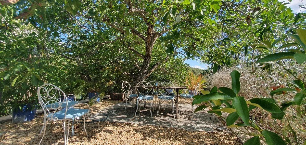 Grande maison vigneronne – 230 m² – 5 chambres – Jardin – La Liquière (Cabrerolles)