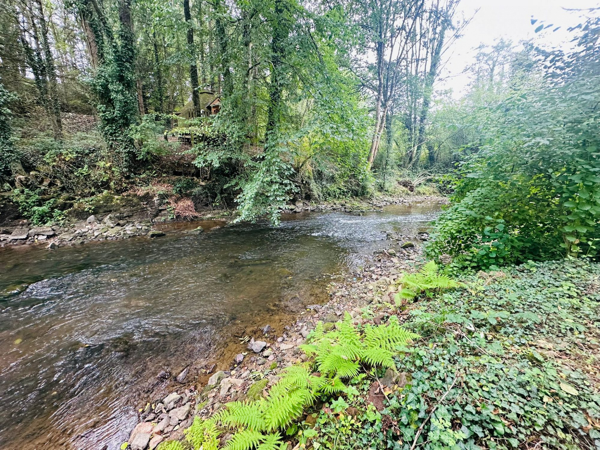 Maison 8 pièces 309 m² · à Sens-de-Bretagne · 309 m² · 779 000 €