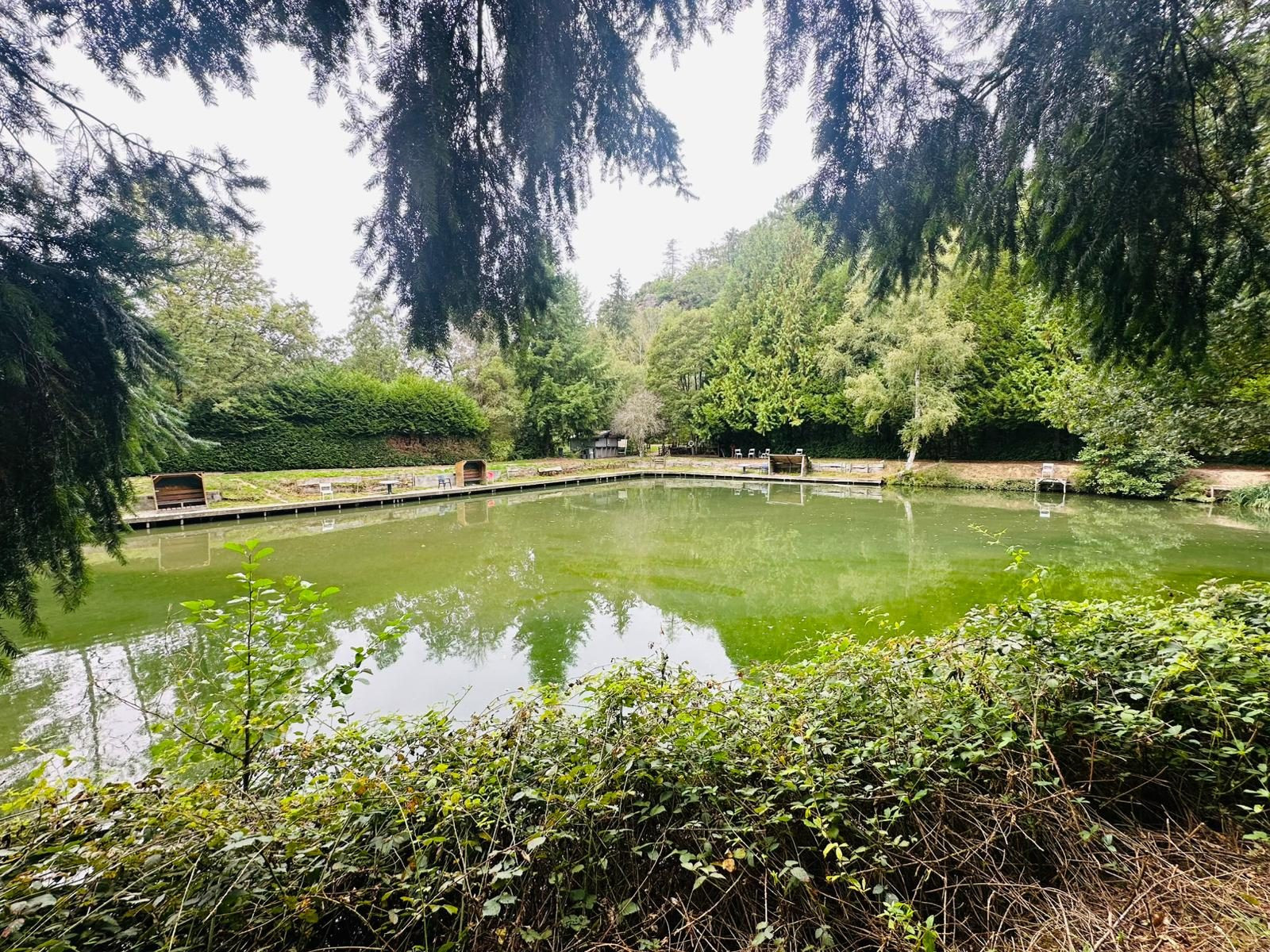 Exceptional Property 25 minutes from Rennes and 35 minutes from Mont-Saint-Michel Remarkable Natural Setting – 2.6 hectares – Tourism Activity Possible 3